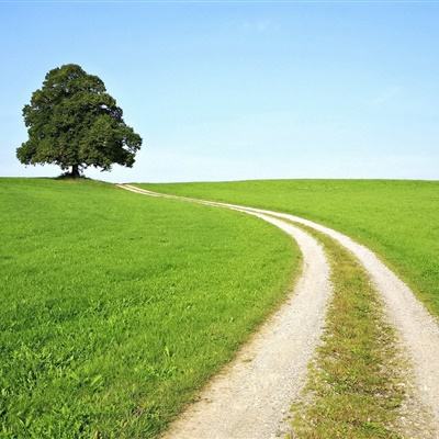 泛亚电竞APP最新版