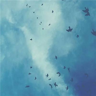 波胆app官网app下载截图