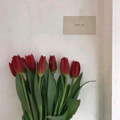 365be体育官方网站