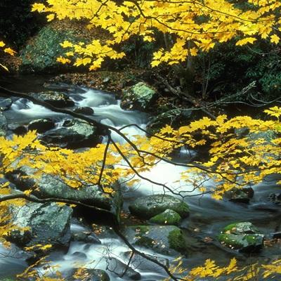 AG官方入口网址